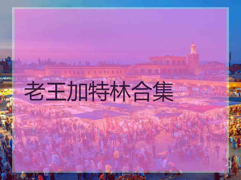 老王加特林合集