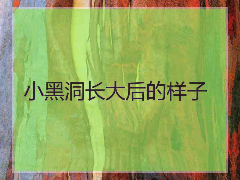 小黑洞长大后的样子