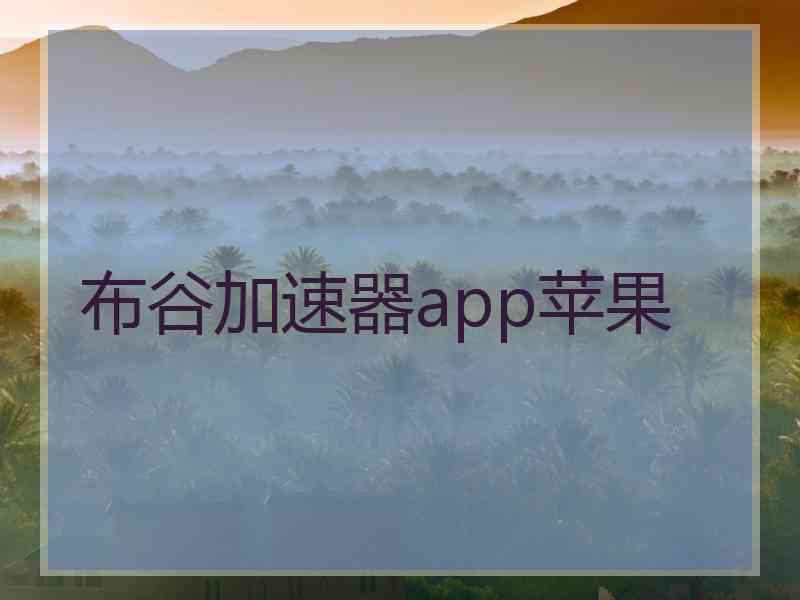 布谷加速器app苹果