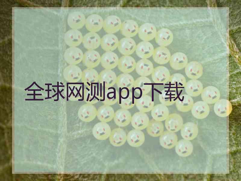 全球网测app下载