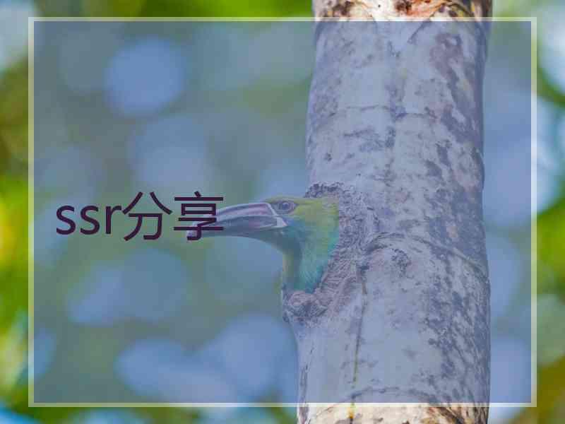ssr分享