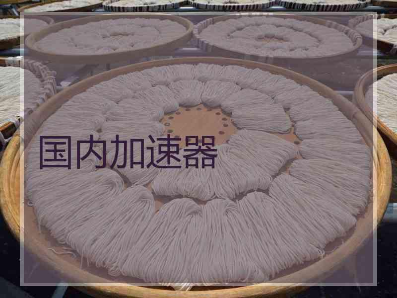 国内加速器