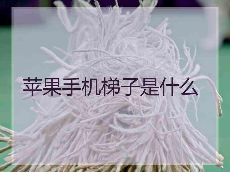 苹果手机梯子是什么
