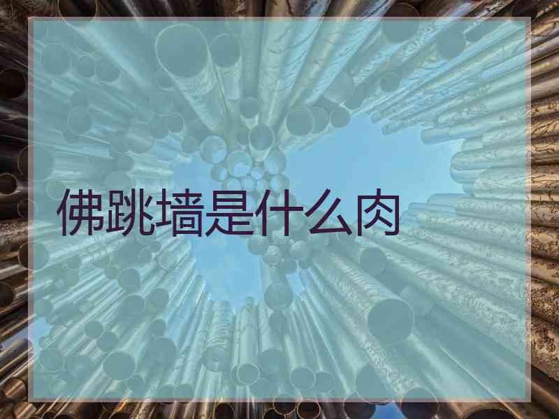 佛跳墙是什么肉