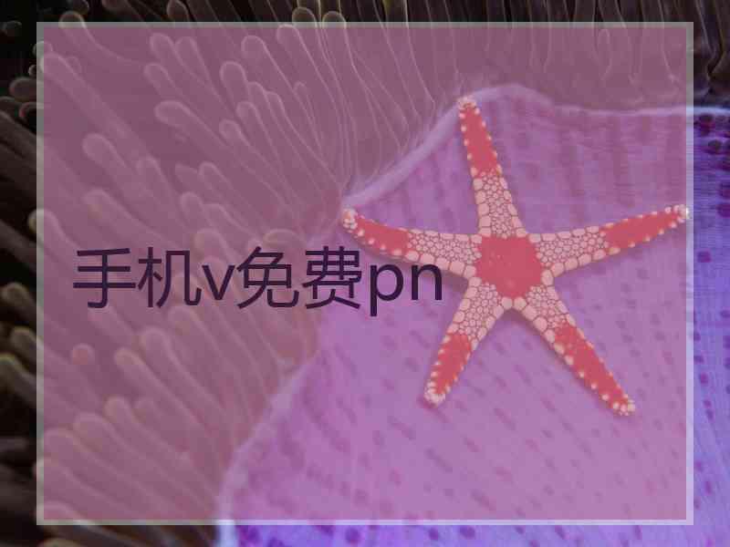 手机v免费pn