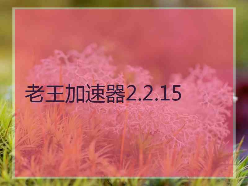 老王加速器2.2.15