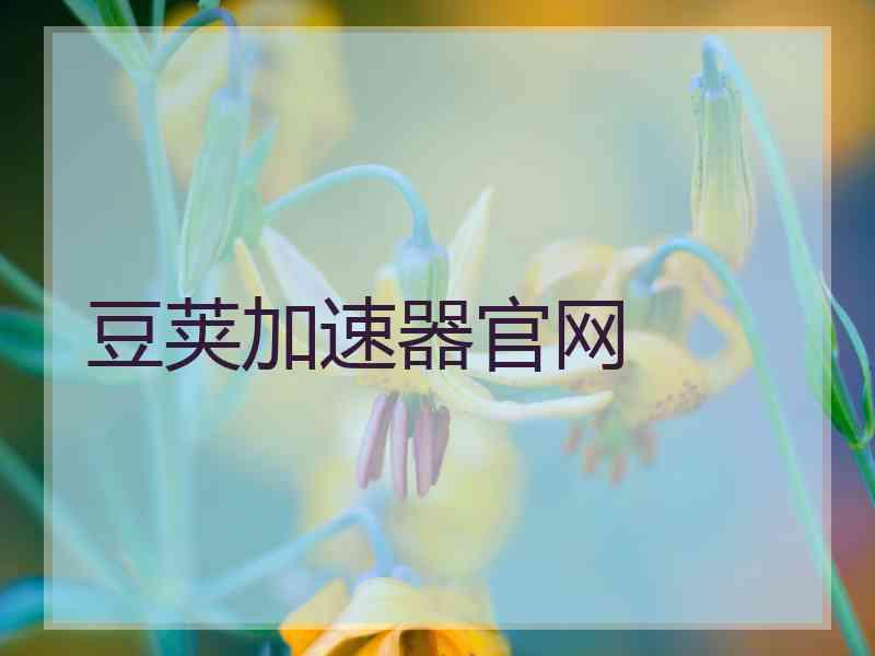 豆荚加速器官网