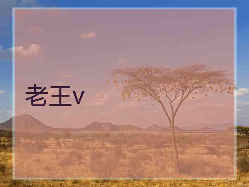 老王v