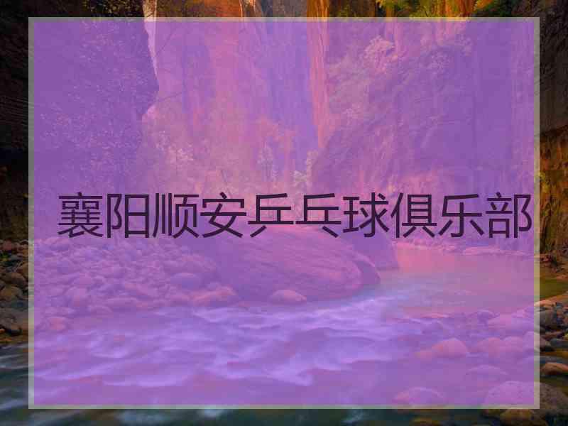 襄阳顺安乒乓球俱乐部