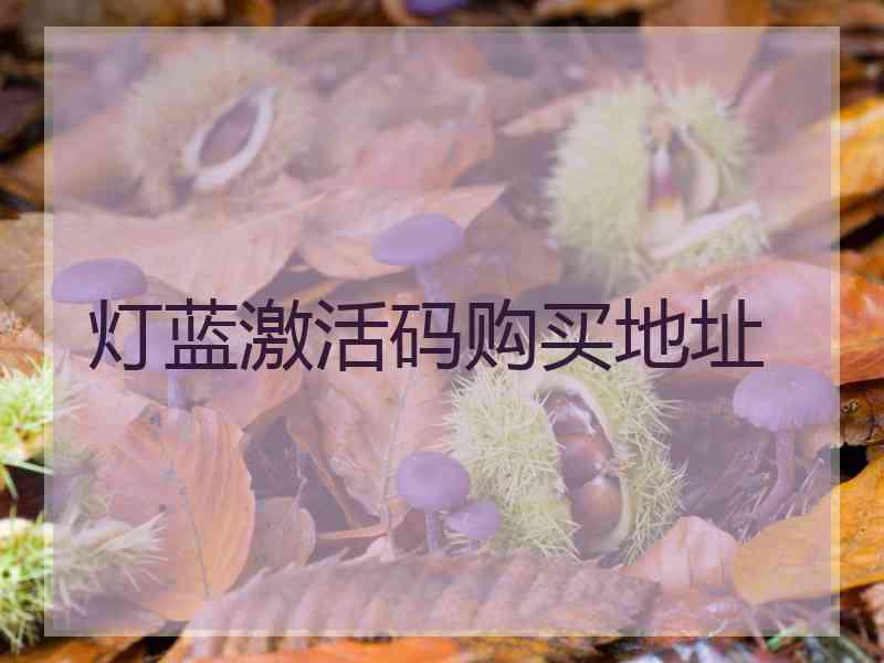 灯蓝激活码购买地址