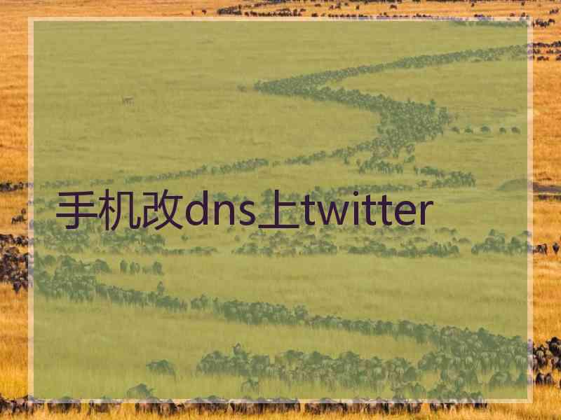手机改dns上twitter