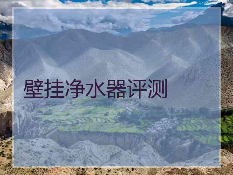 壁挂净水器评测