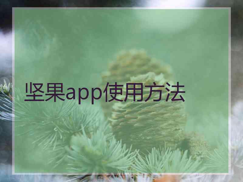 坚果app使用方法