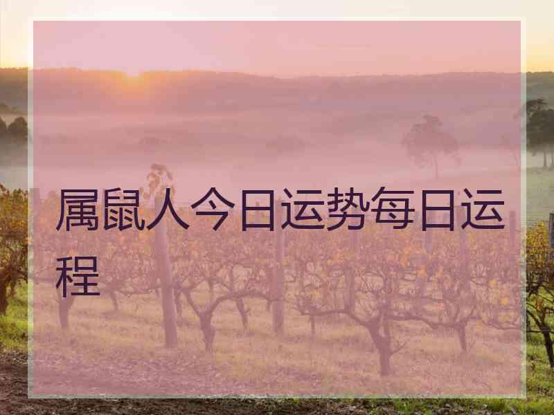 属鼠人今日运势每日运程