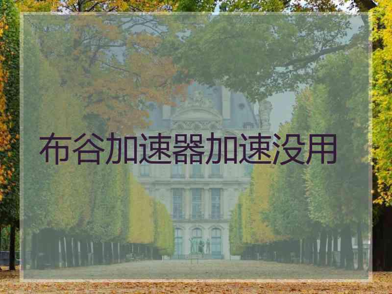 布谷加速器加速没用