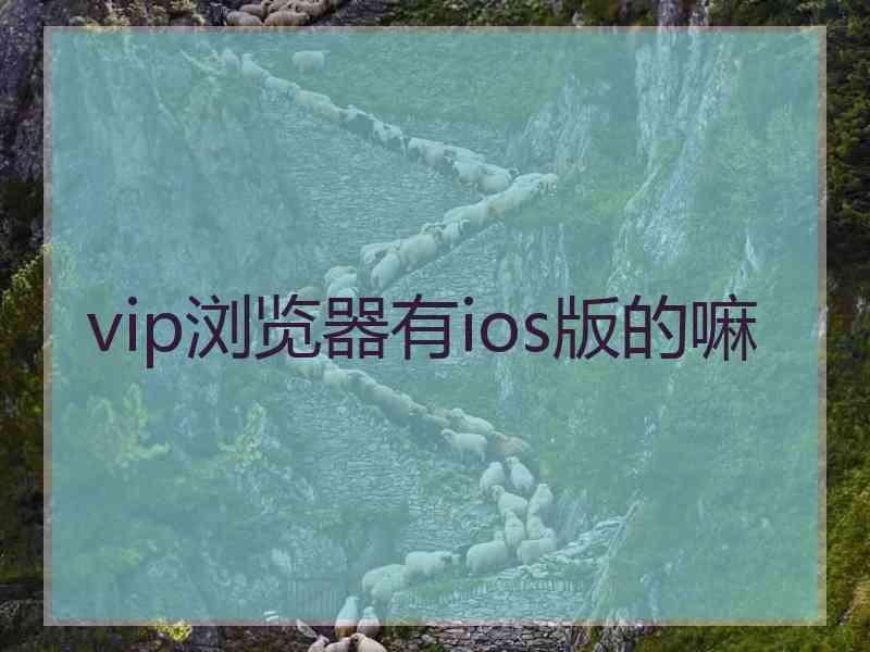 vip浏览器有ios版的嘛