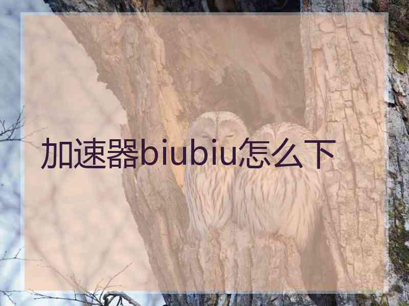 加速器biubiu怎么下