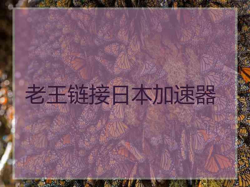 老王链接日本加速器