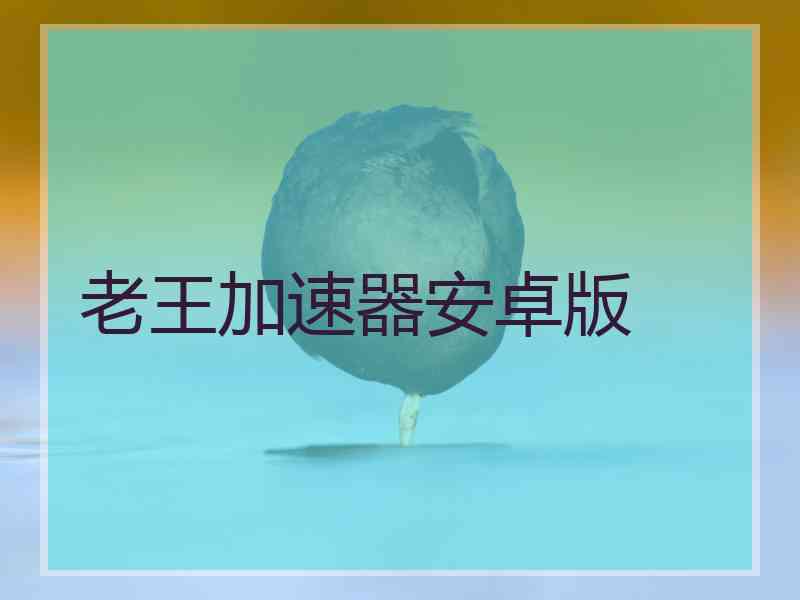 老王加速器安卓版