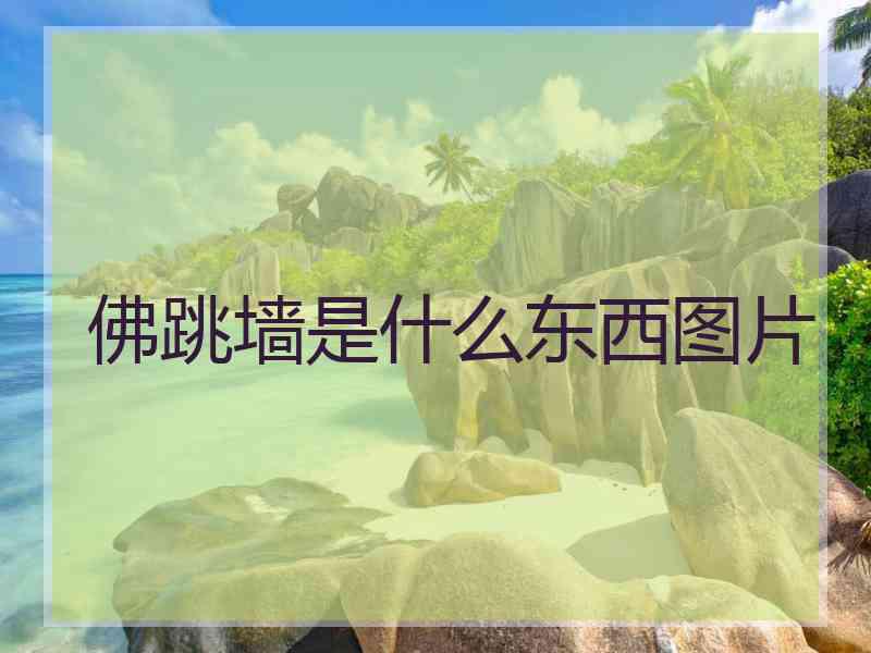 佛跳墙是什么东西图片