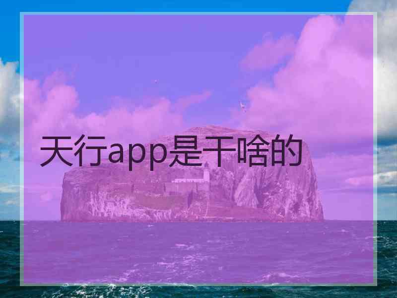 天行app是干啥的