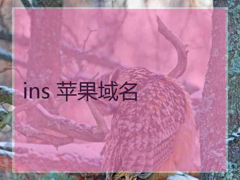 ins 苹果域名