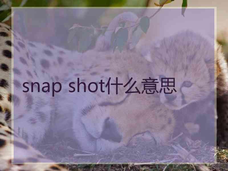 snap shot什么意思