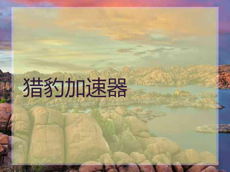 猎豹加速器