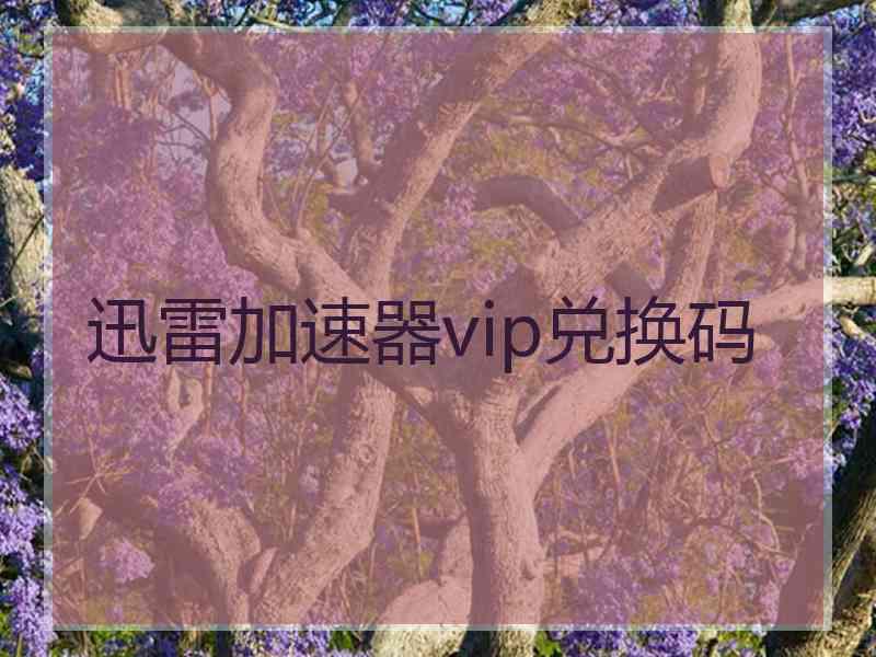 迅雷加速器vip兑换码