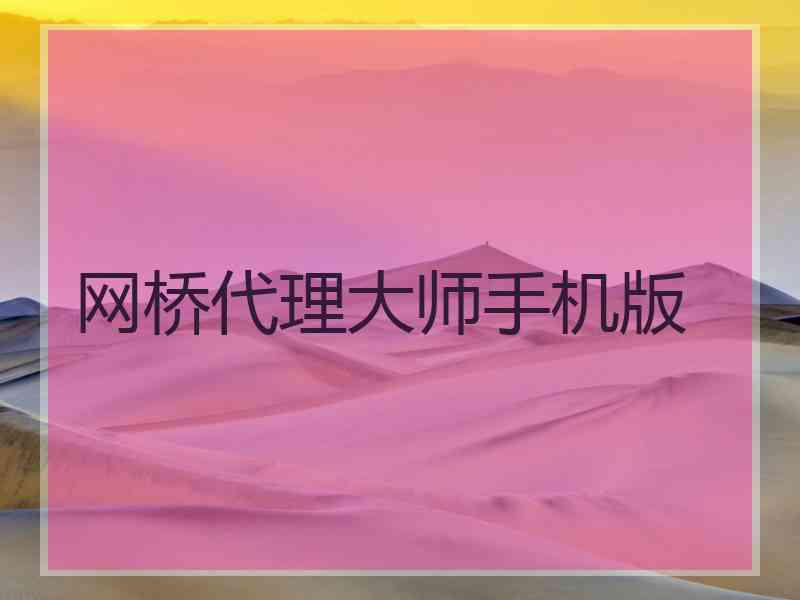 网桥代理大师手机版