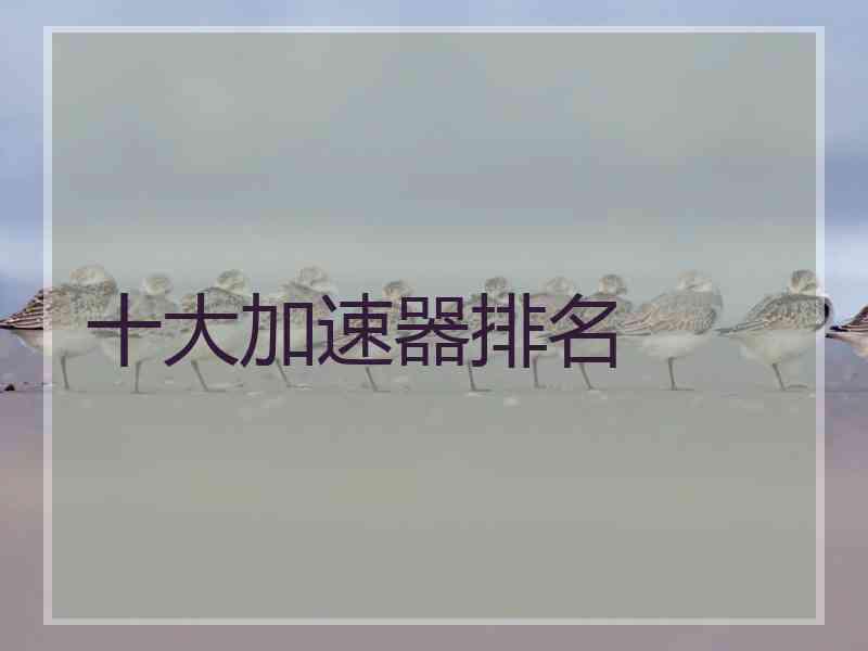 十大加速器排名