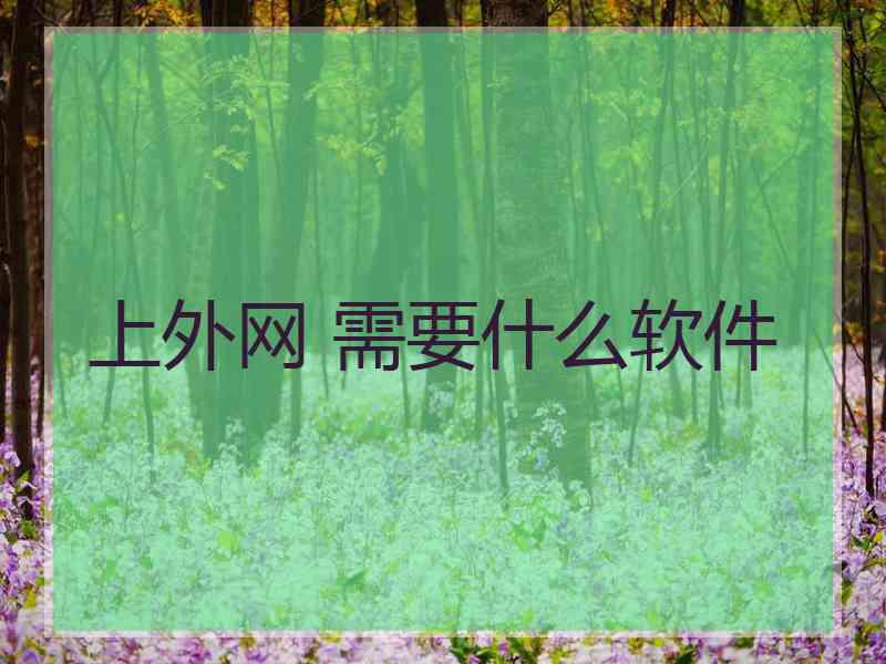 上外网 需要什么软件