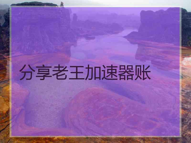 分享老王加速器账