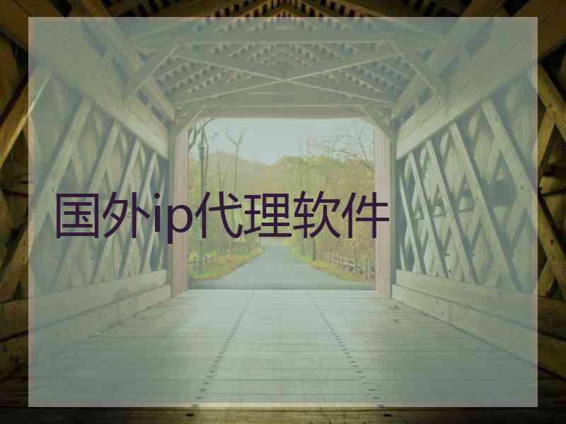 国外ip代理软件