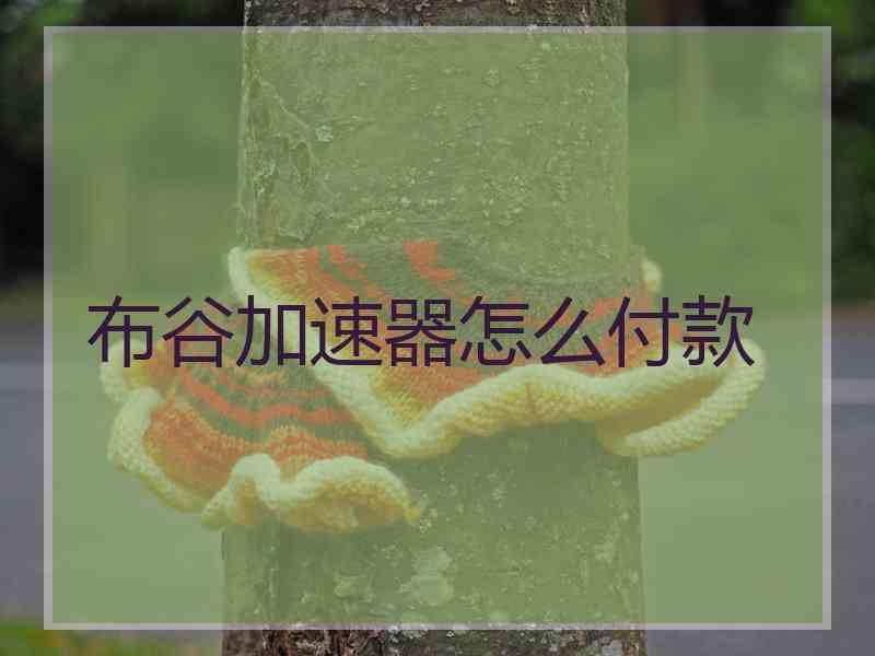 布谷加速器怎么付款