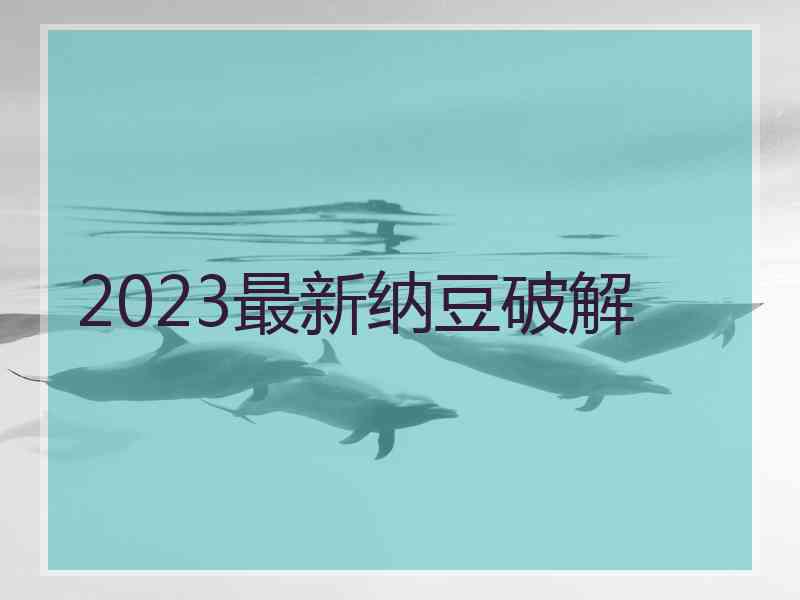 2023最新纳豆破解