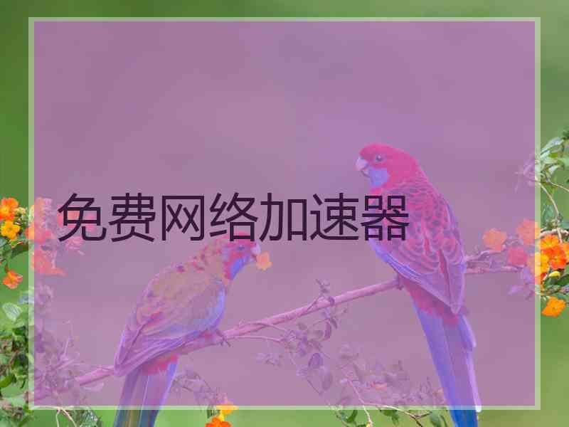 免费网络加速器