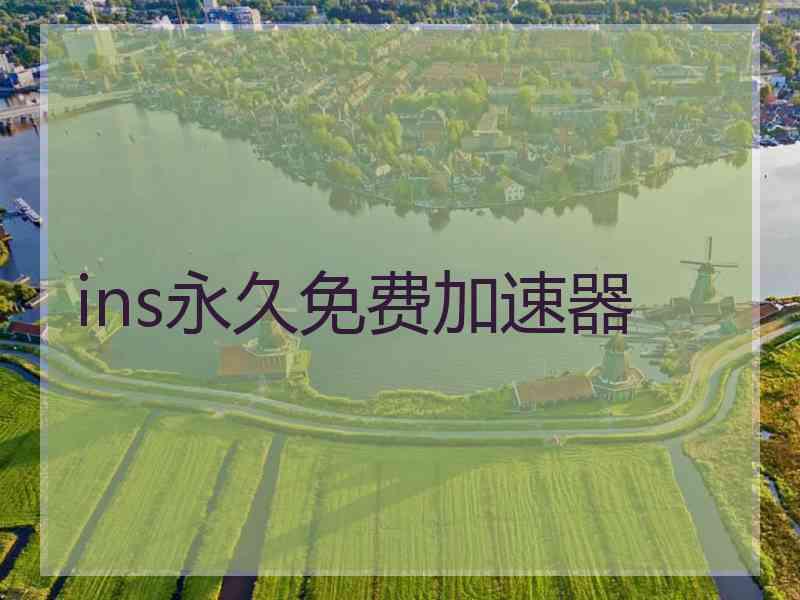 ins永久免费加速器