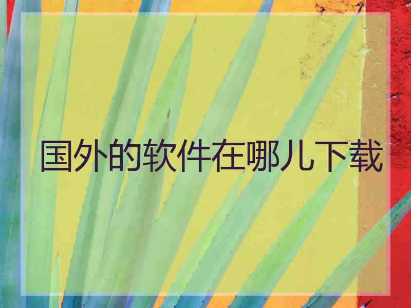 国外的软件在哪儿下载