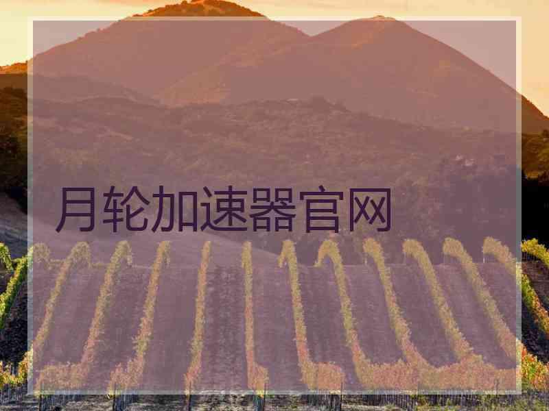 月轮加速器官网