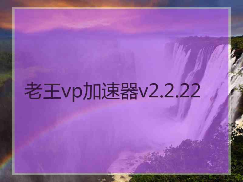 老王vp加速器v2.2.22