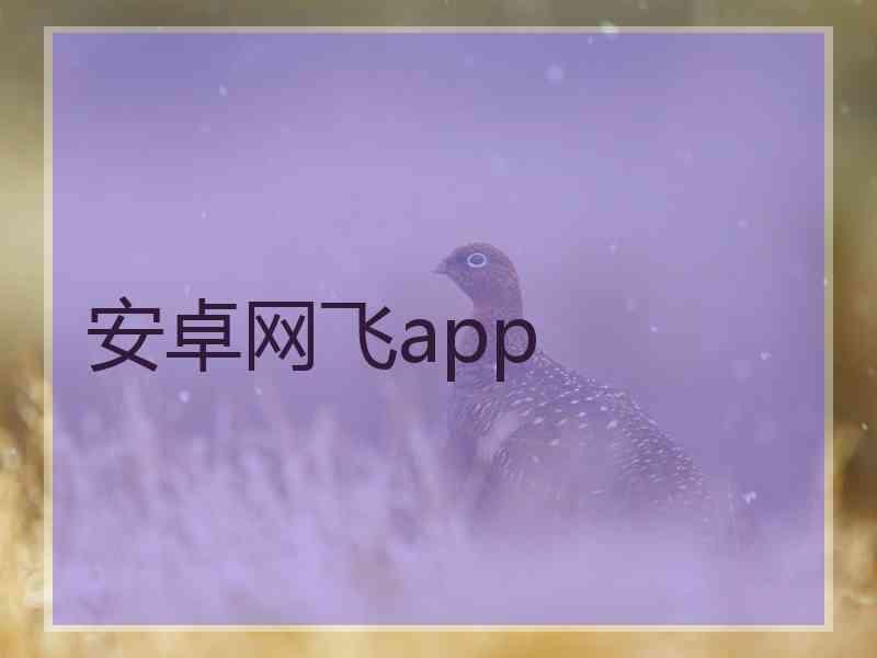 安卓网飞app