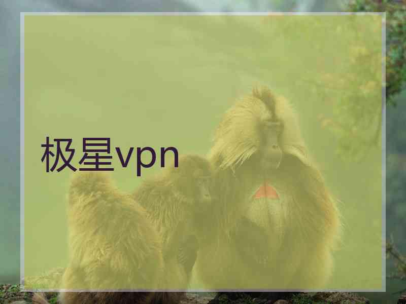 极星vpn