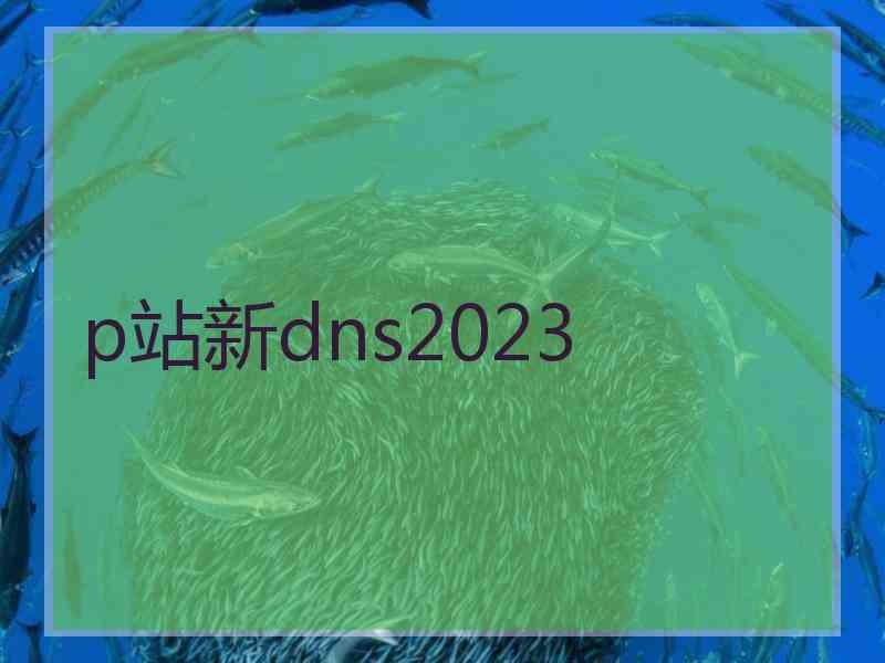 p站新dns2023