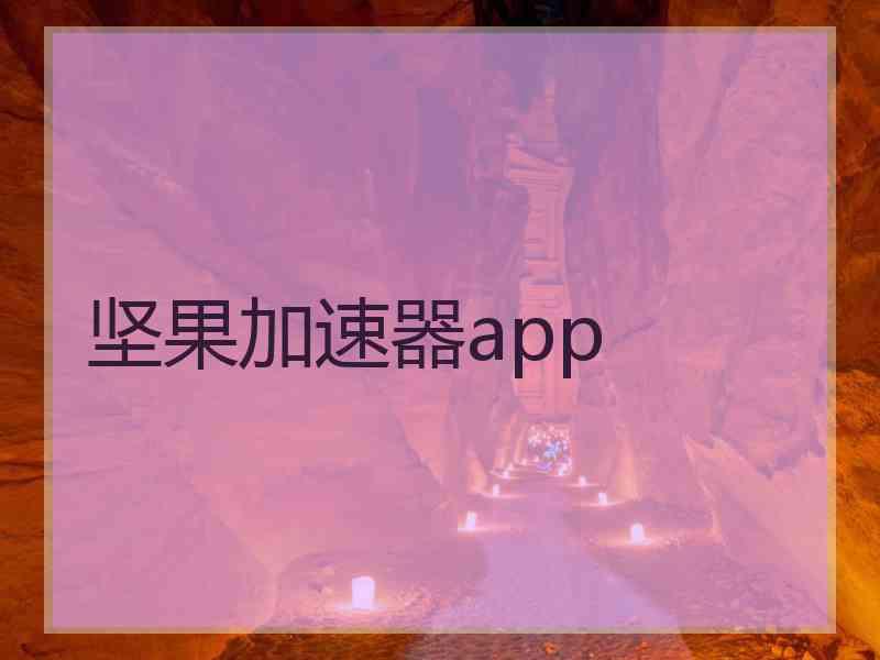 坚果加速器app