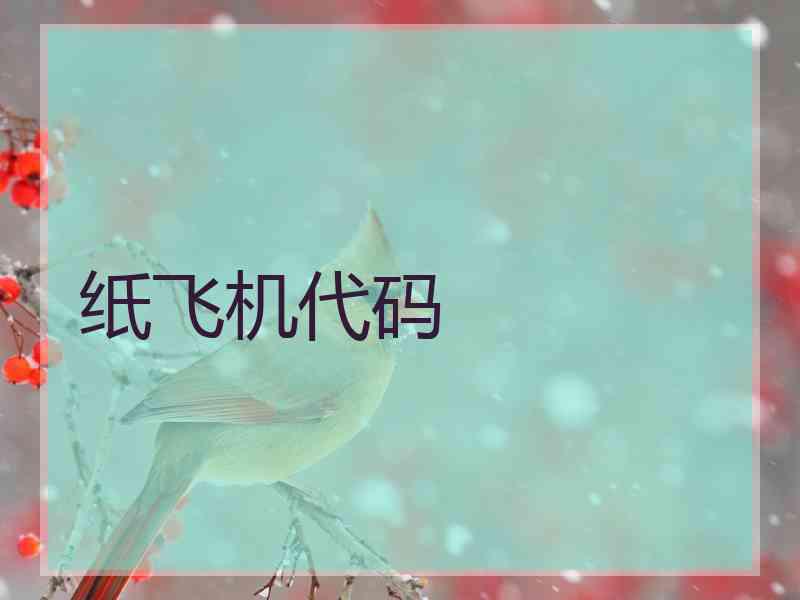 纸飞机代码