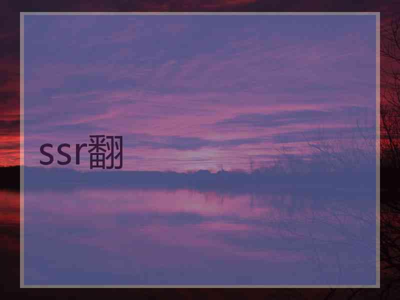 ssr翻