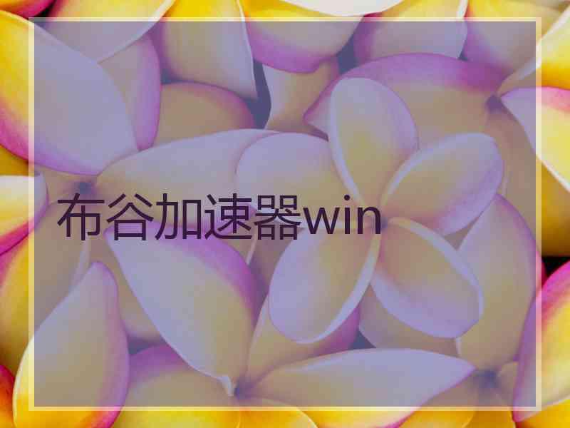 布谷加速器win