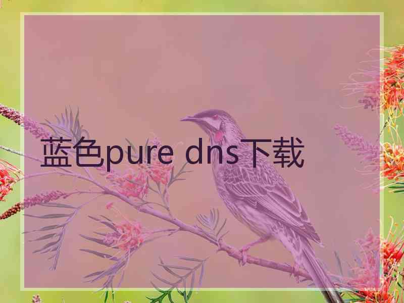 蓝色pure dns下载