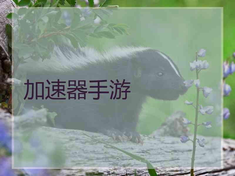 加速器手游